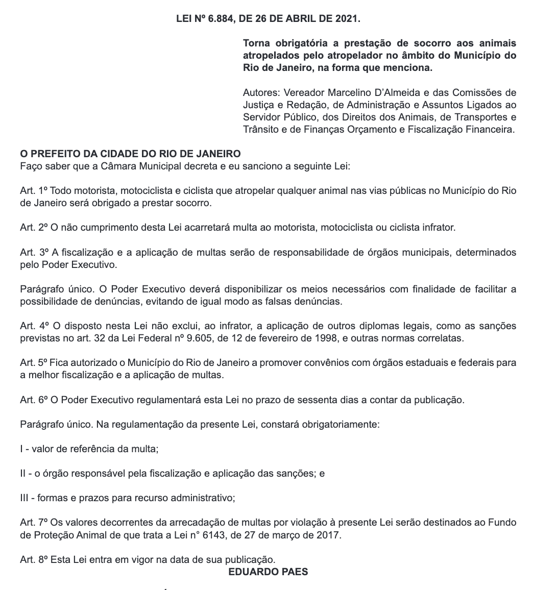 Eduardo Paes Sanciona Lei Motorista Que Atropelar Animais Ser